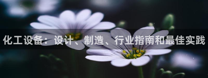 新城平台登录入口官网首页