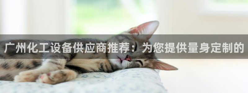 新城平台注册