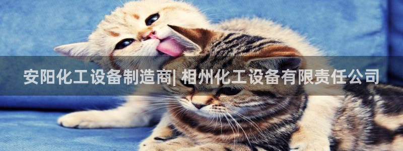 新城平台官网注册入口