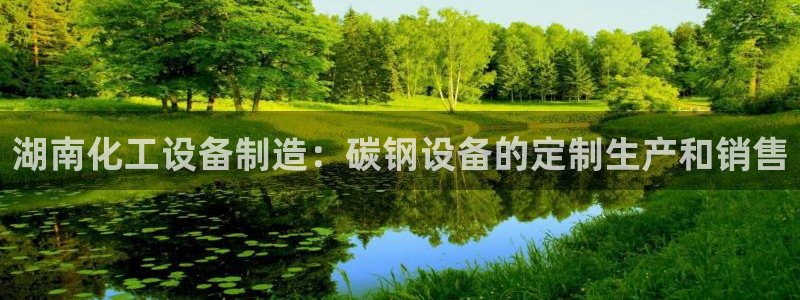 新城平台负责人