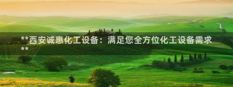 新城平台线路登录不上去