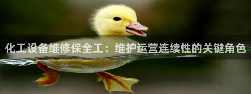 新城平台负责人
