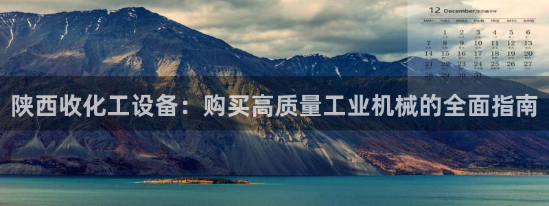 新城平台公司