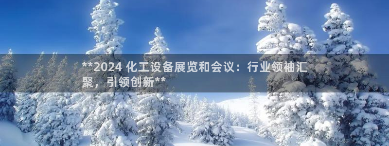 新城平台是干嘛的公司啊