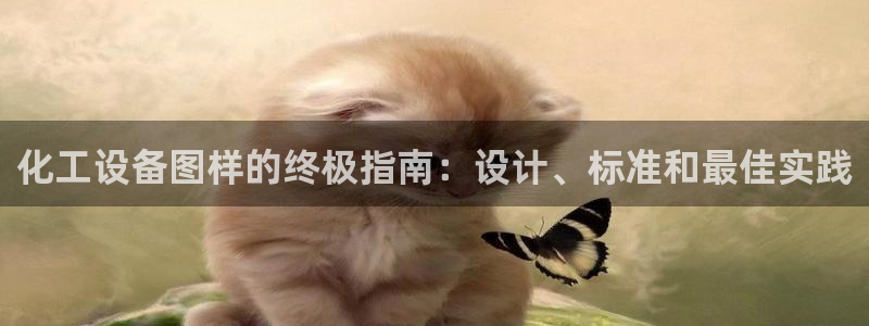 新城平台注册资金多少