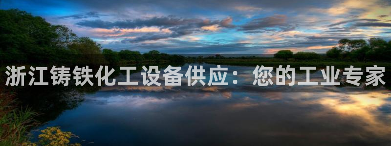 新城平台