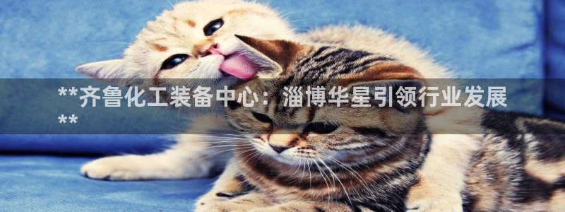 新城平台登录入口官网首页下载