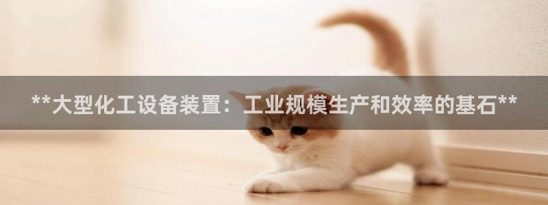 新城平台开户