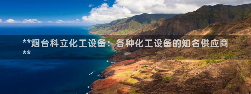 新城平台代理