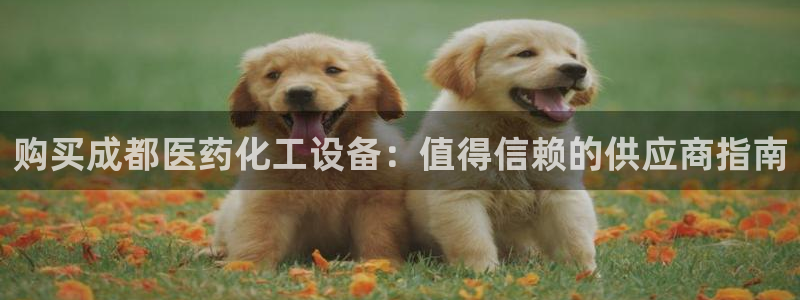 新城平台官网注册入口