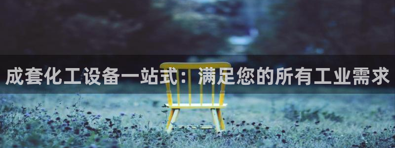 新城平台总代理是谁