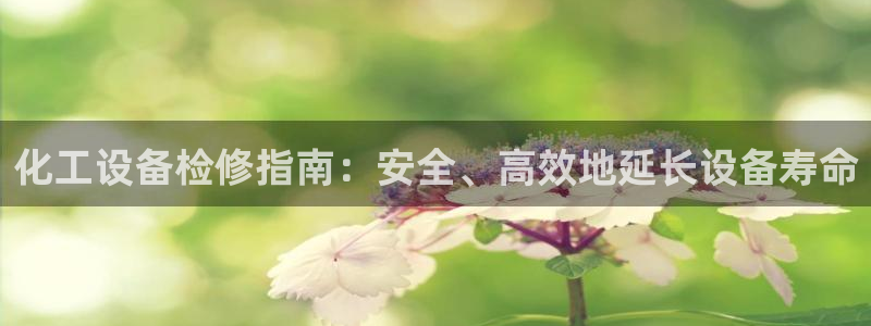 新城平台注册登录地址怎么填