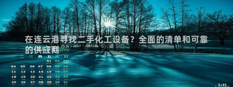 新城平台登录入口官网查询网址