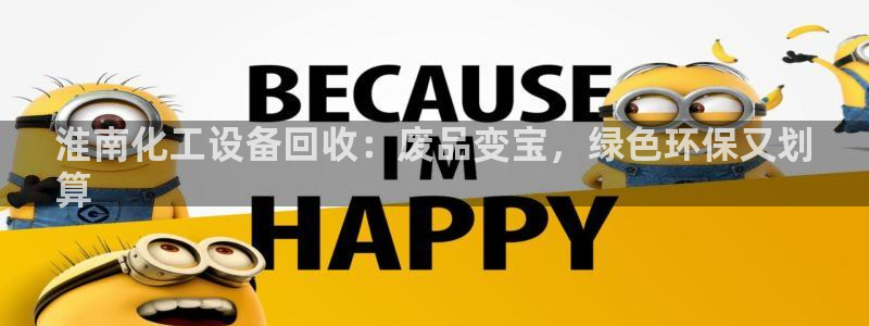 新城平台是干嘛的公司