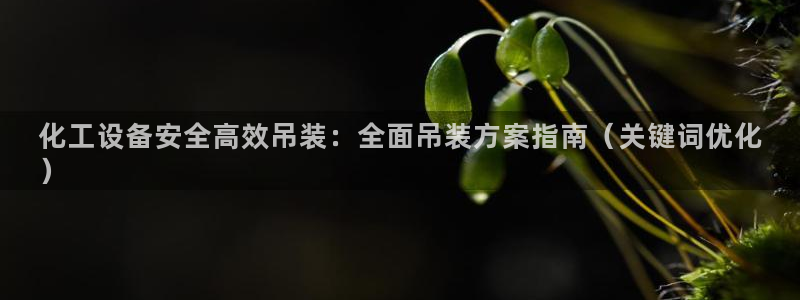 新城平台登录密码忘了怎么办