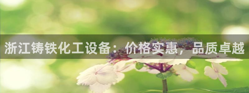 新城平台登录入口官网网址查询