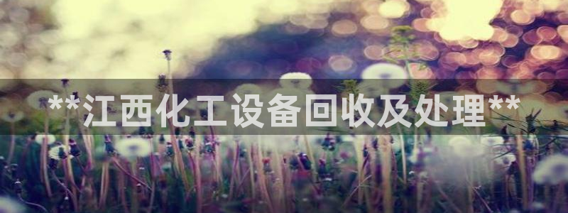 新城平台官网注册
