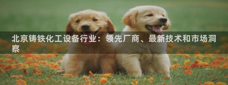新城平台注册流程及费用