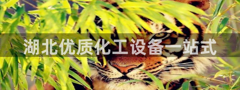 新城平台足7O777