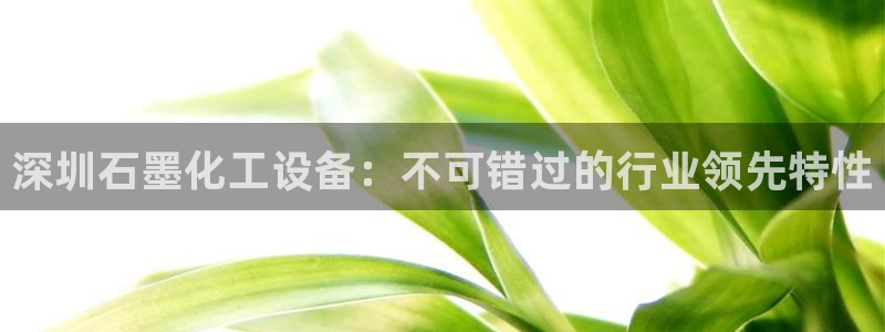 新城平台登录入口官网查询