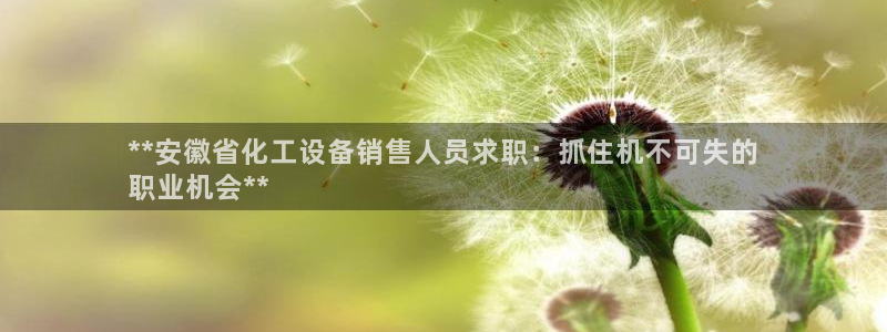 新城平台企业信息查询