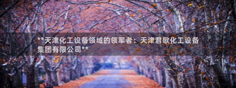新城平台主管