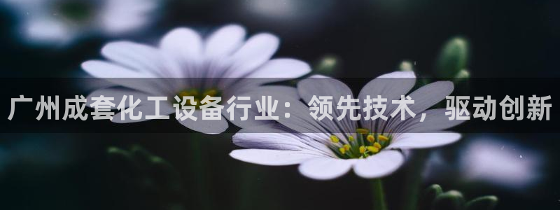 新城平台注册流程视频