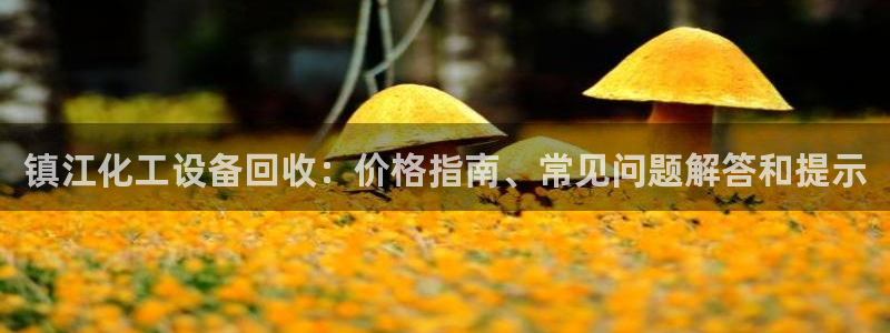 新城平台注册资金多少钱
