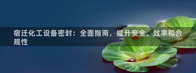 新城平台登录入口官网查询信息