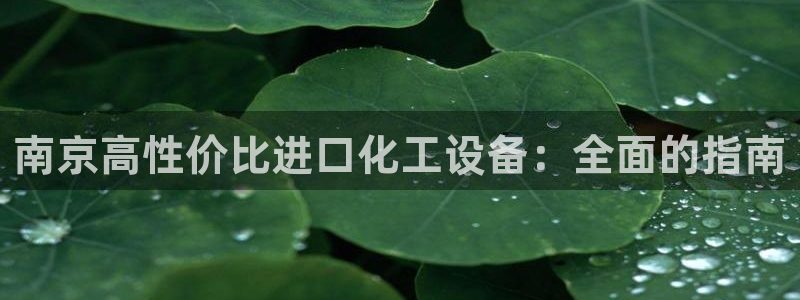 新城平台登录入口