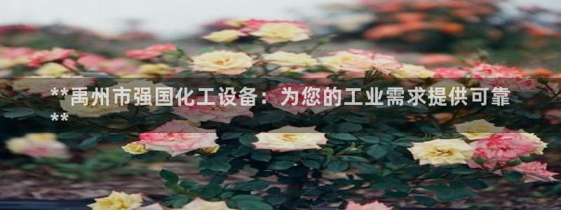 新城平台主管