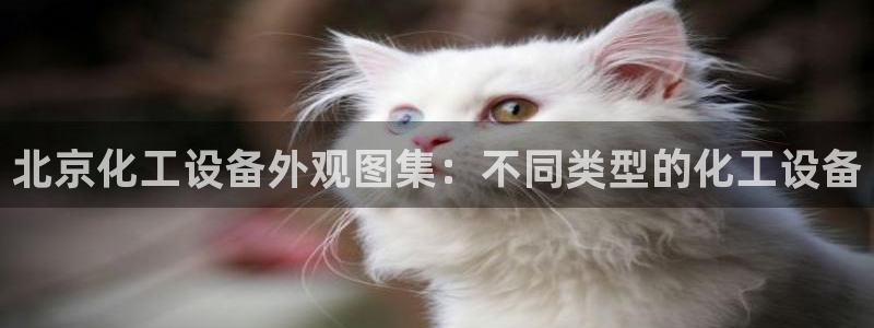 新城平台登录入口官网网址