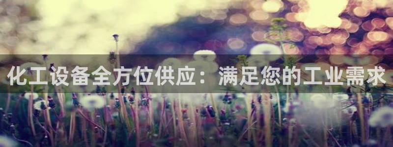 新城平台注册资金多少