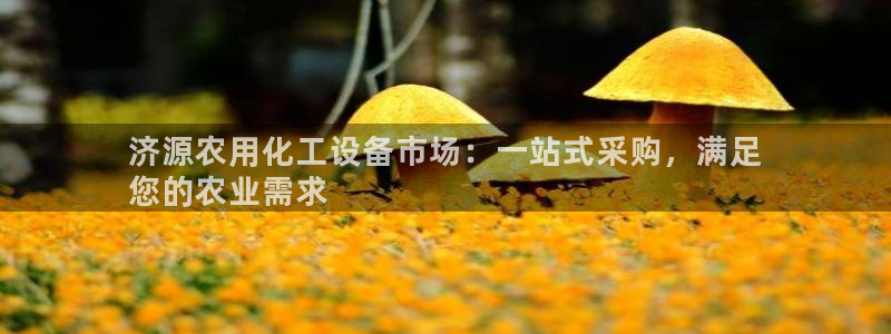 新城平台平台