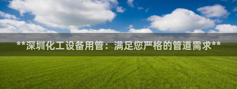新城平台登录入口官网查询信息