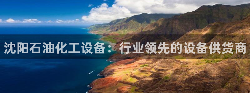 新城平台代理怎么做