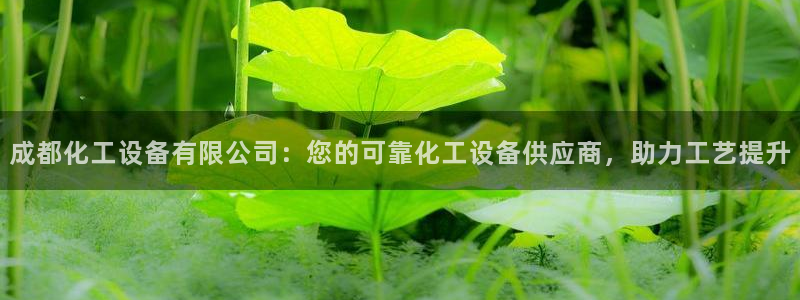 新城平台是干嘛的公司