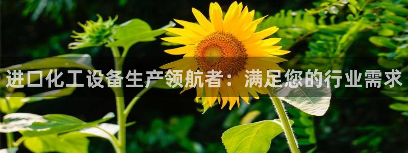 新城平台公司