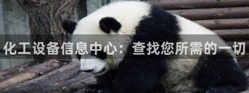 新城平台登录入口官网首页下载