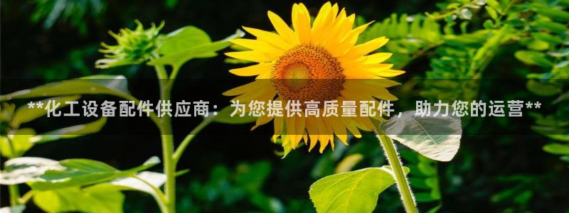 新城平台官网首页入口