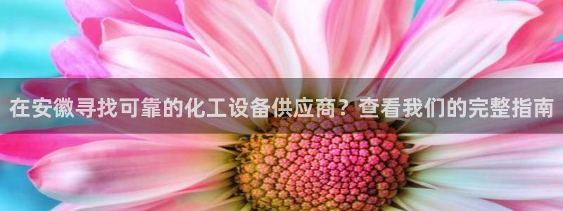 新城平台官网首页入口