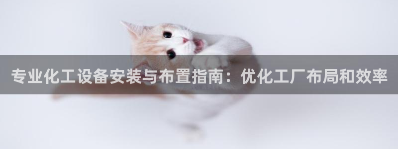 新城平台注册登录地址怎么填