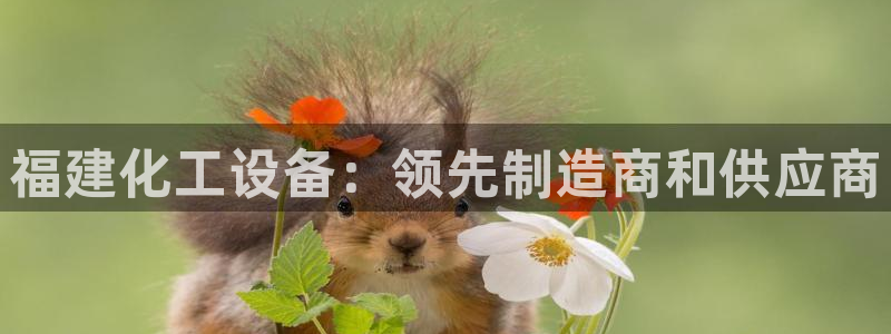 新城平台公司