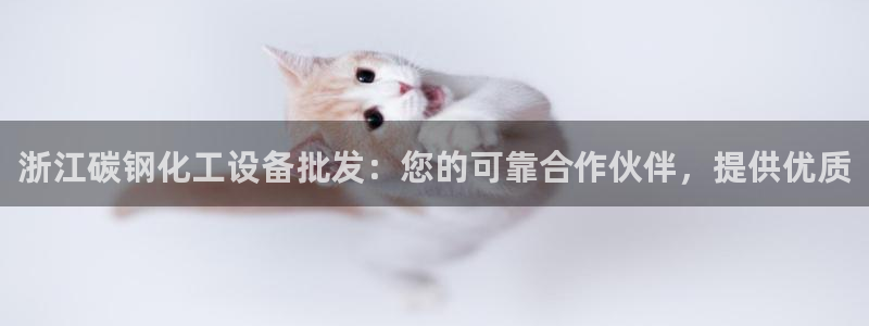 新城平台代理注册条件