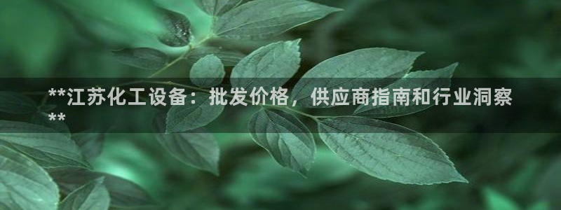 新城平台总代