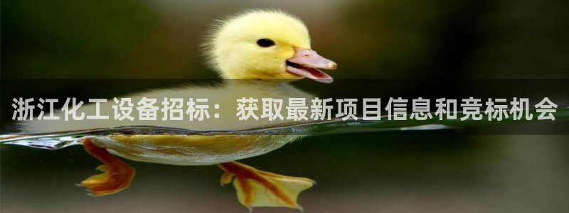 新城平台新注册