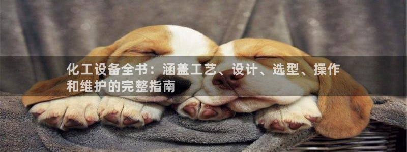 新城平台代理注册条件