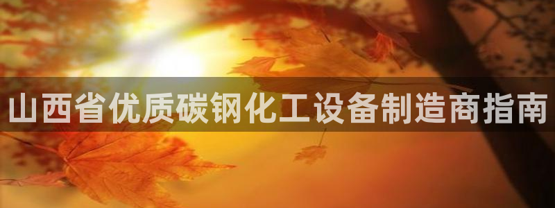 新城平台公司