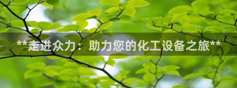 新城平台注册资金多少合适