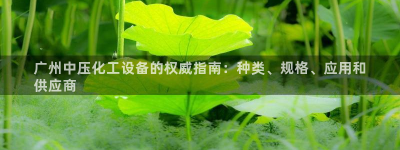 新城平台登录入口官网查询网址